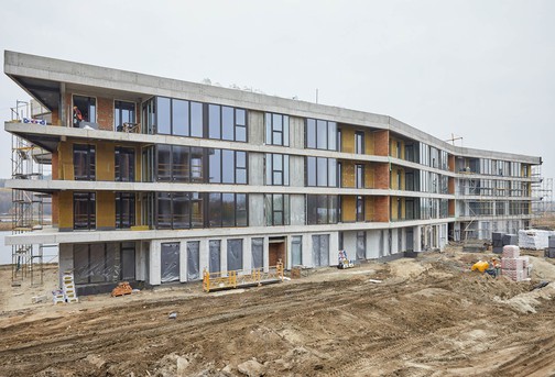 Листопад 2020